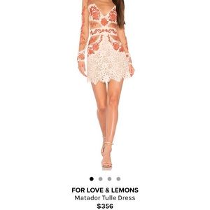 BEAUTIFUL For Love & Lemons dress
